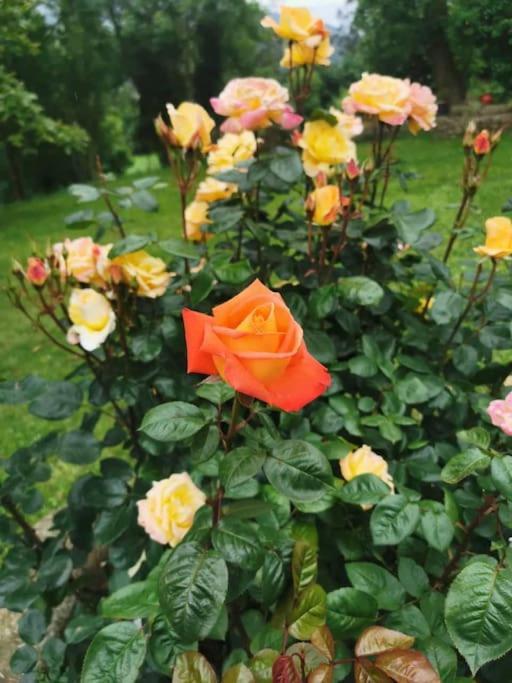 La Flor De Toranzo "Vive Los Valles Pasiegos" Прасес Экстерьер фото